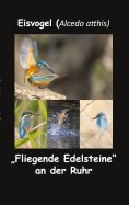 eBook: Eisvogel (Alcedo atthis)