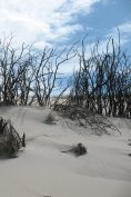 ebook: Roter Dünensturm am Abend