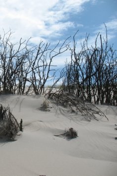 ebook: Roter Dünensturm am Abend