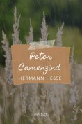 eBook: Peter Camenzind