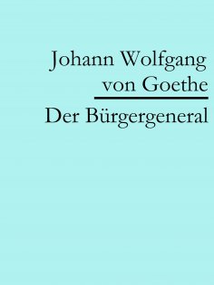 ebook: Der Bürgergeneral