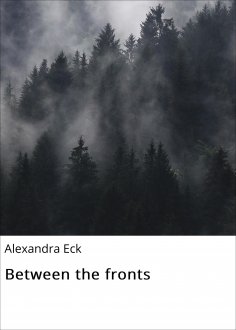 eBook: Between the fronts