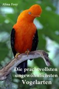 ebook: Die prachvollsten ungewöhnlichsten Vogelarten