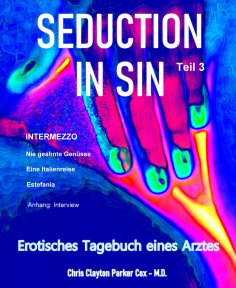 eBook: SEDUCTION in SIN  -   Teil 3