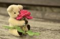 eBook: Mehr Liebe - more fun