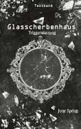 ebook: Glasscherbenhaus