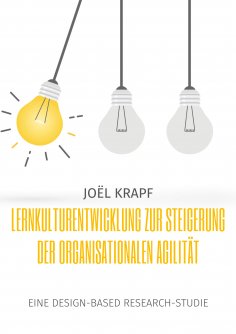 eBook: Lernkulturentwicklung zur Steigerung der organisationalen Agilität