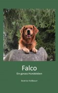 eBook: Falco
