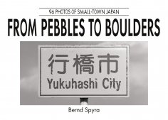eBook: From Pebbles to Boulders
