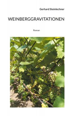 ebook: Weinberggravitationen