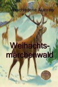 eBook: Weihnachtsmärchenwald