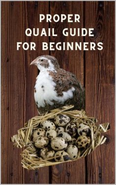 eBook: Proper Quail Guide for Beginners