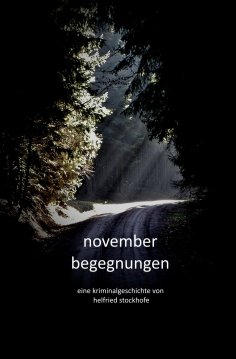 ebook: Novemberbegegnungen