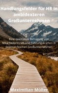 ebook: Handlungsfelder für HR in ambidexteren Großunternehmen