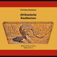 eBook: Afrikanische Raubkatzen