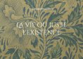 ebook: La vie ou juste l'existence