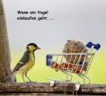 eBook: Wenn ein Vogel einkaufen geht
