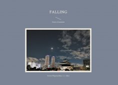 ebook: falling