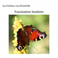 eBook: Faszination Insekten