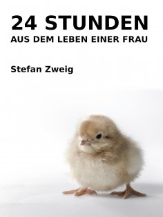 ebook: 24 Stunden aus dem Leben einer Frau