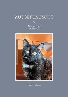 eBook: Ausgeflauscht