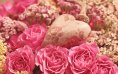 eBook: Liebe machen - Liebe leben