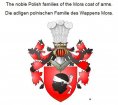 eBook: The noble Polish families of the Mora coat of arms. Die adligen polnischen Familie des Wappens Mora.