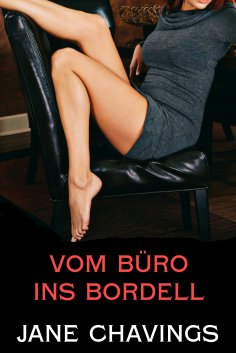 eBook: Vom Büro ins Bordell