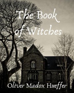 eBook: The book of witches