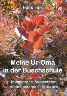 eBook: Meine Ur-Oma in der Buschschule