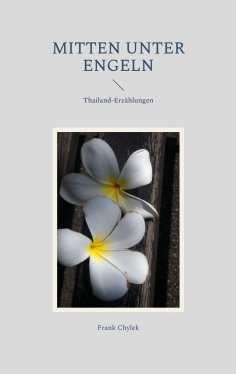 ebook: Mitten unter Engeln