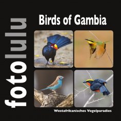 ebook: Birds of Gambia
