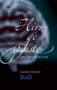 ebook: Hirngespinste
