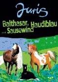 ebook: Balthasar, Haudiblau und Sausewind