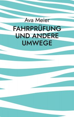 eBook: Fahrprüfung und andere Umwege