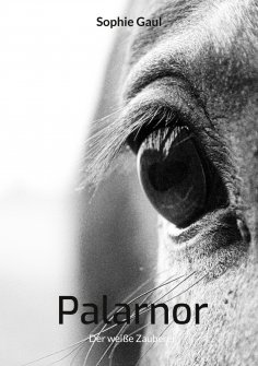 eBook: Palarnor