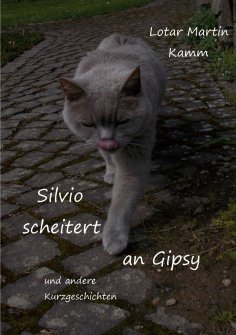 eBook: Silvio scheitert an Gipsy