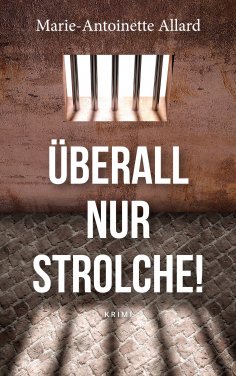 eBook: Überall nur Strolche!