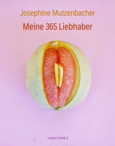 eBook: Meine 365 Liebhaber
