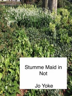 ebook: Stumme Maid in Not