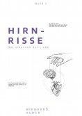 eBook: Hirnrisse