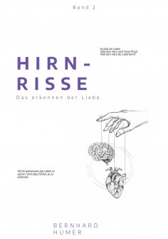 eBook: Hirnrisse