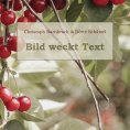 eBook: Bild weckt Text