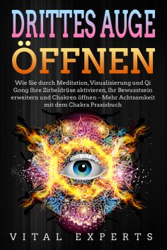 ebook: DRITTES AUGE ÖFFNEN: Wie Sie durch Meditation, Visualisierung und Qi Gong Ihre Zirbeldrüse aktiviere