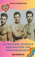 eBook: Ultrakurze schwule Geschichten für Zwischendurch