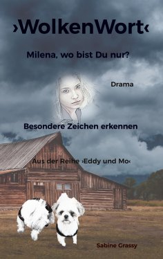 eBook: WolkenWort