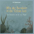 eBook: Wie der Bernstein in die Ostsee kam