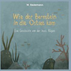 eBook: Wie der Bernstein in die Ostsee kam