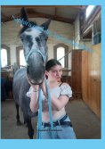 ebook: Saphira und die Lipizzanerstute
