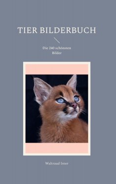eBook: Tier Bilderbuch